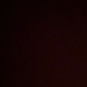 Meet your Posher, Sonny